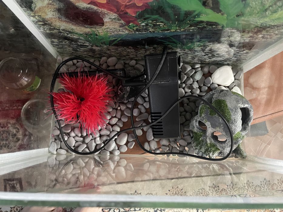 Продам аквариум