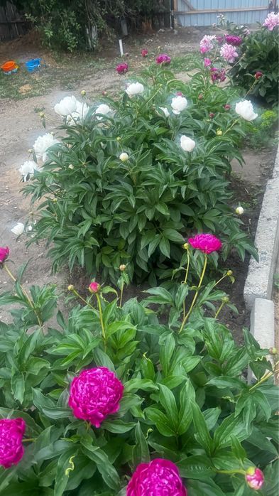 Продам Место дЛя отдыха ДАЧУ