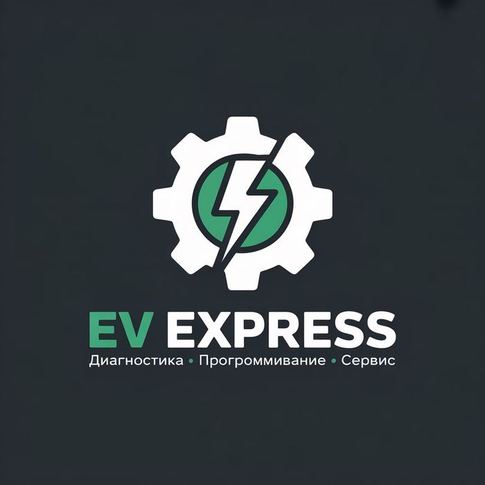 Русификация электромобилей | SIM | Диагностика EV EXPRESS Li/BYD и др.