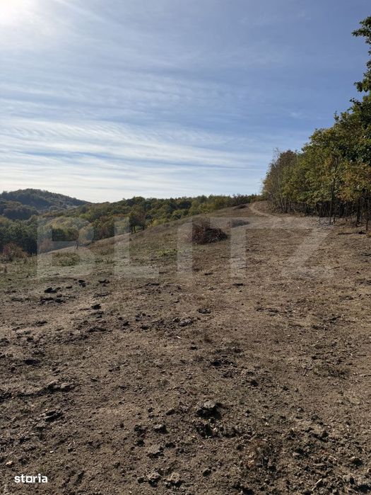 Teren extravilan in suprafata de 3 hectare