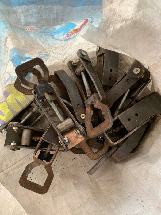 Xitoy zajim Roliklar