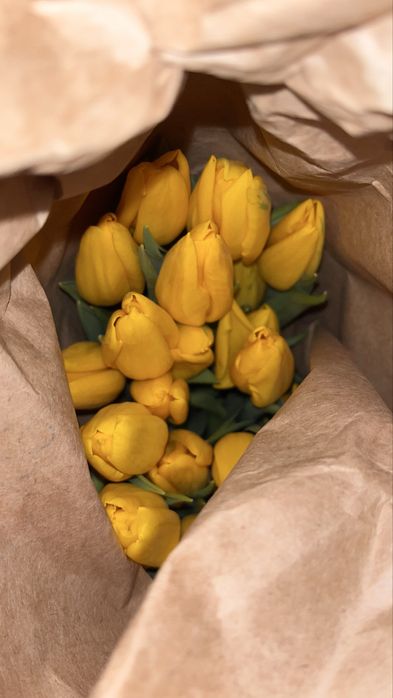 Тюльпаны оптом и в розницу