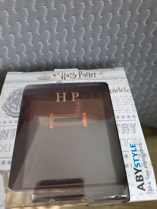 Касичка Harry Potter ABY style