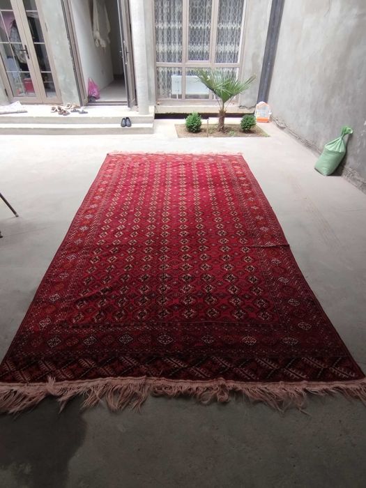 Turkman gilamlar/Turkmen carpets