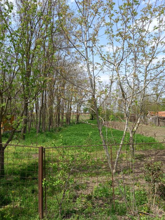 Vand 3500 mp teren intravilan situat in Com Cuza Voda, Jud CL