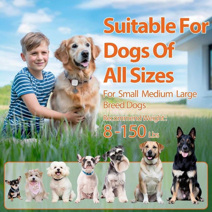 Устройство за обучение на кучета без шок с дистанционно, хуманно