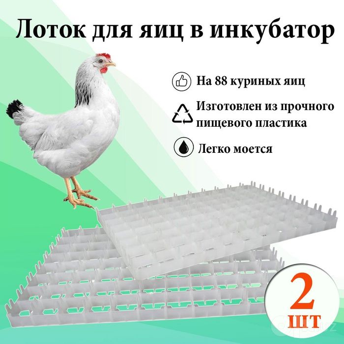 Товук ва бедана тухумлари учун махсус латоклар сотувда сифатли завод
