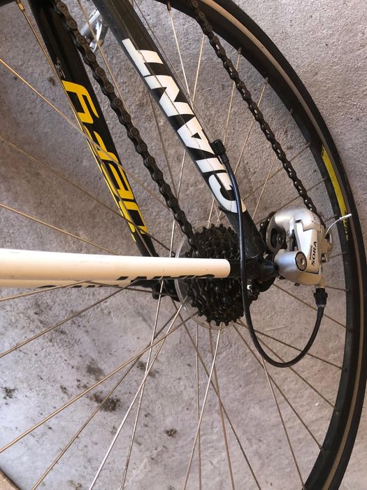 Bicicleta cursiera