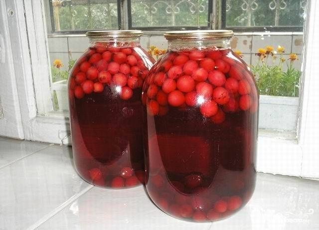 Компот и огурцы ,