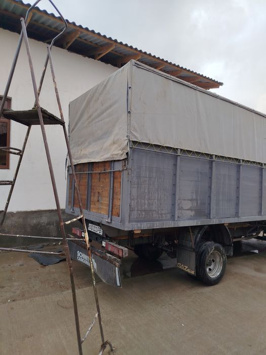 Bort gazel tent taxta