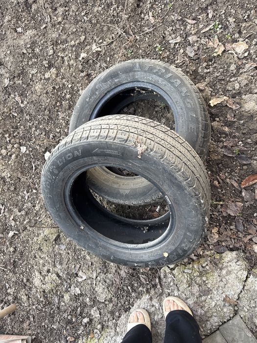 Зимные шины для машины