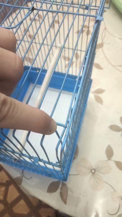 Клетка для попугая