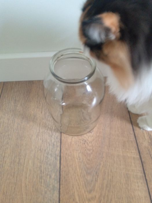 Банки стякленные