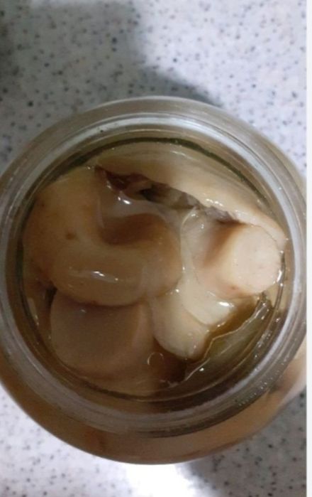 Продаю грибы солёные