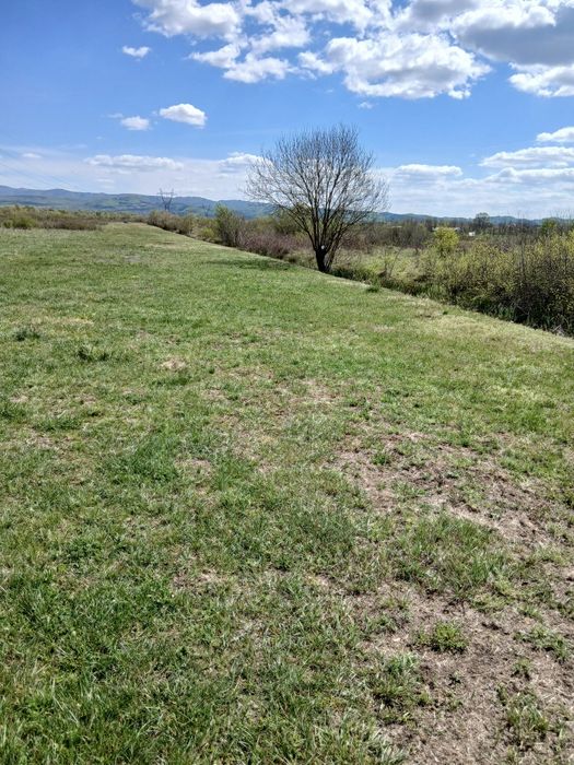 Teren in Sacalaseni o754537380