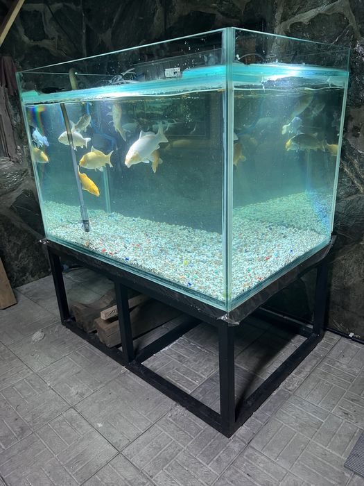 Аквариум на 700 литров