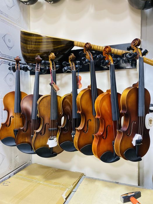 Skripka professional новие !