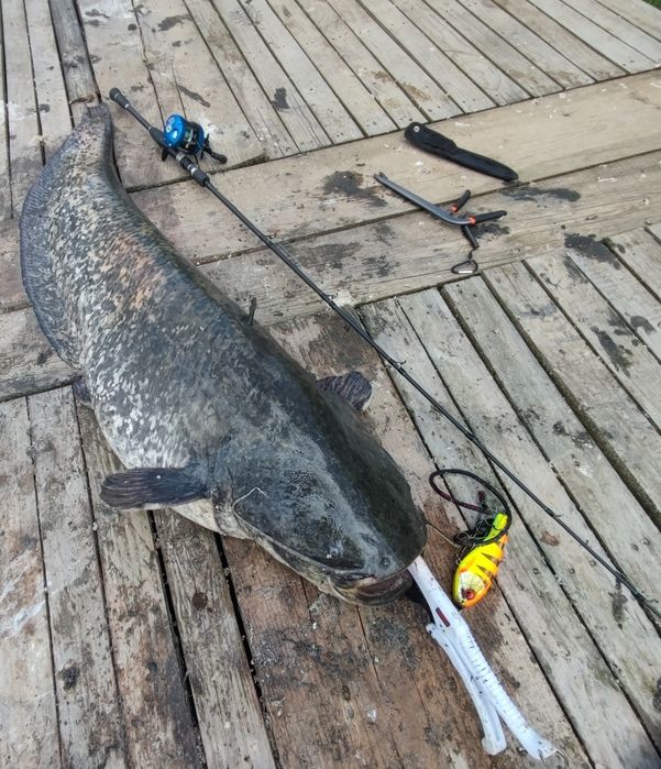 Maximus Destroyer-X 40-100 джърк въдица