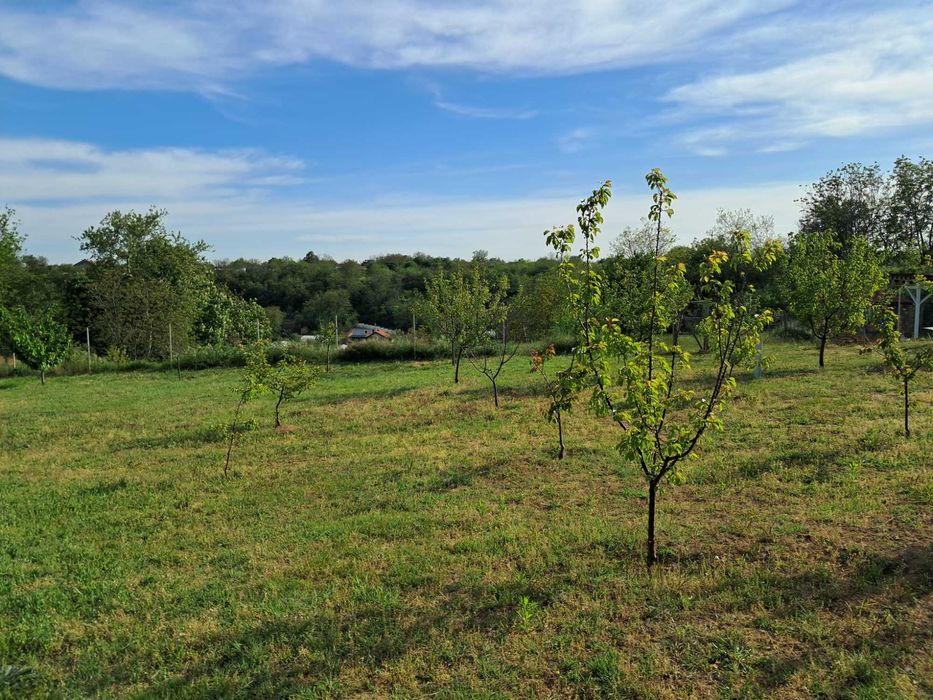 Продава се Парцел в с. Калипетрово, Област Силистра - 1176 кв.м за 65 €/кв.м - Снимка #2