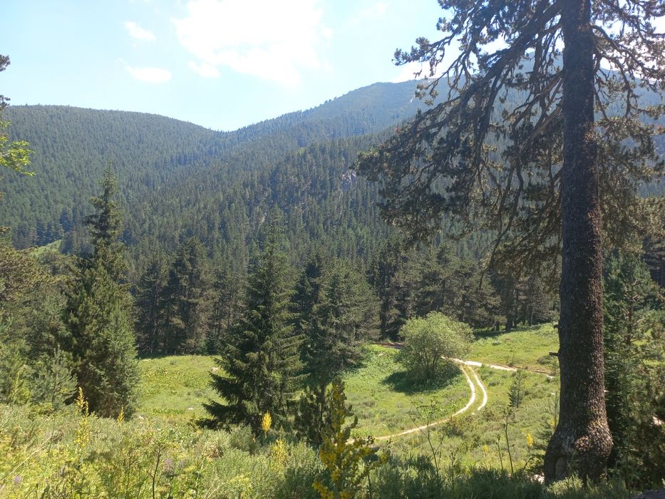 Топ парцел Тетевен- Рибарица