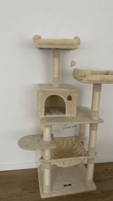 Котешка катерушка