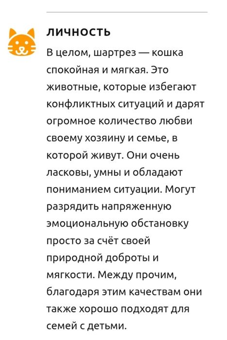 Французский шартрез девочка. АСТАНА!