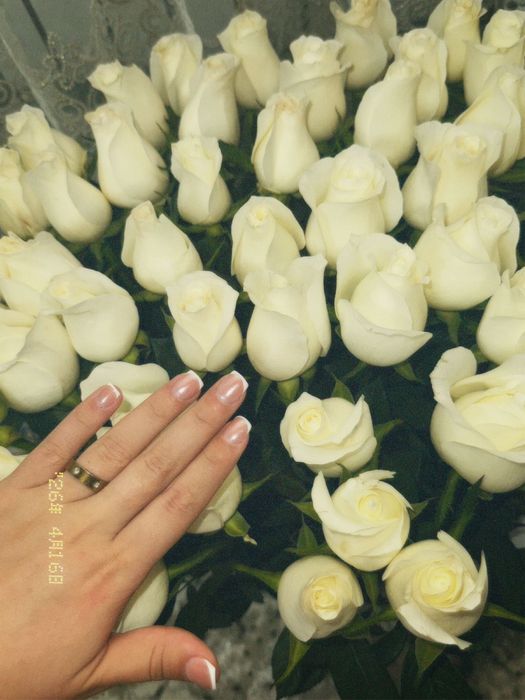 Розы класное 49шт