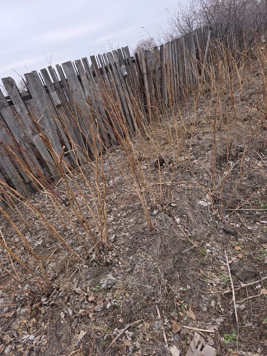 Продам дачу на Союзе