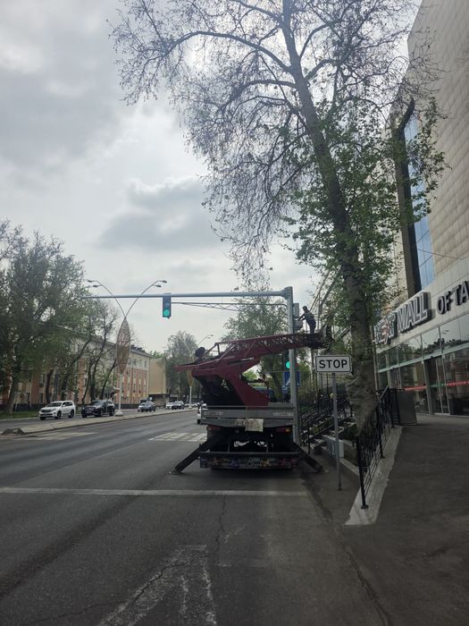 Авто вишка услуга24/7