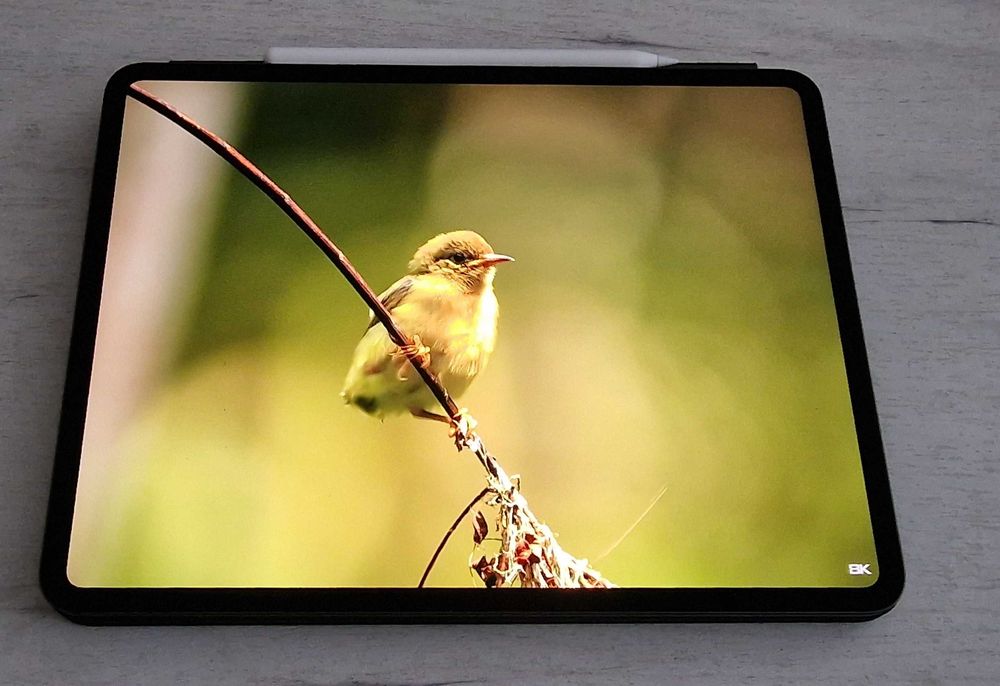 Apple iPad Pro 13” M5 Wi-Fi, 256 GB, Space Black заедно с оригинална Apple Magic Keyboard за iPad Pro 13”, Black, Bulgarian