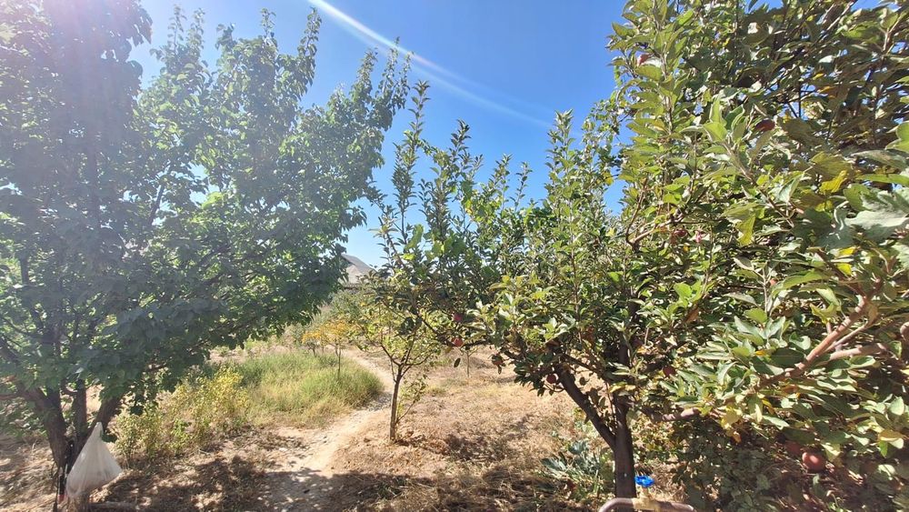 Шұғыл! 4 бөлмелі Үй /времянка САТЫЛАДЫ