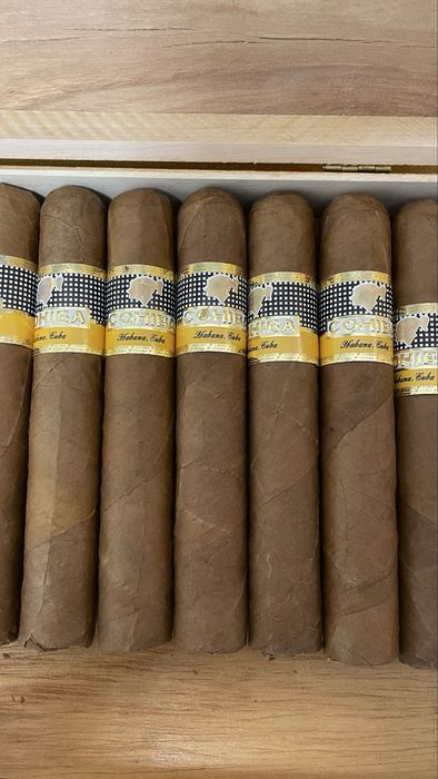 Trabuc Cohiba Robustos Cuba