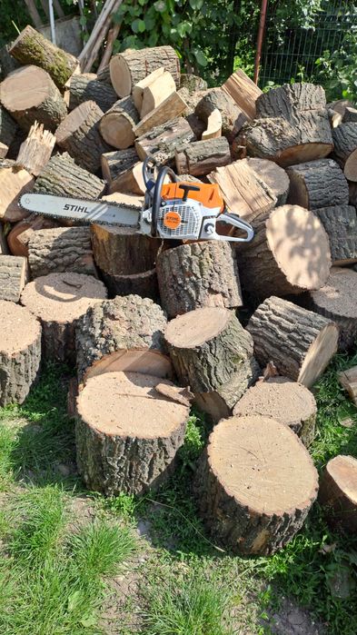 Tuns (toaletare) pomi