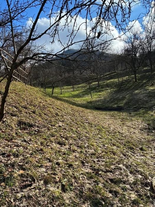 Casa cu 48 arii teren chiuzbaia