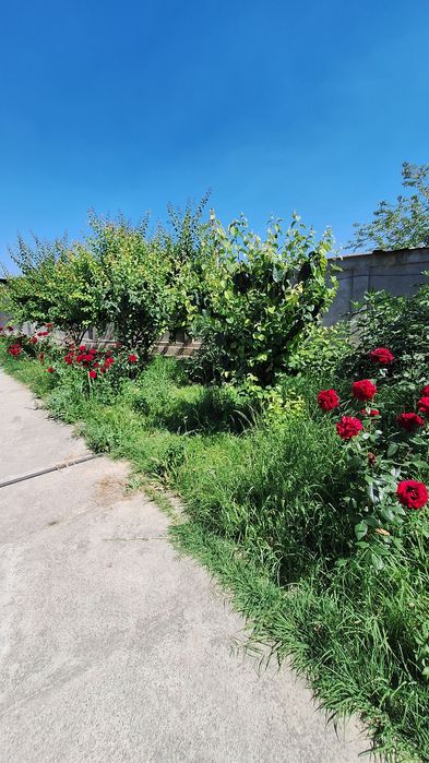 Земля 50 соток, Кибрай, Ункургон, Обод