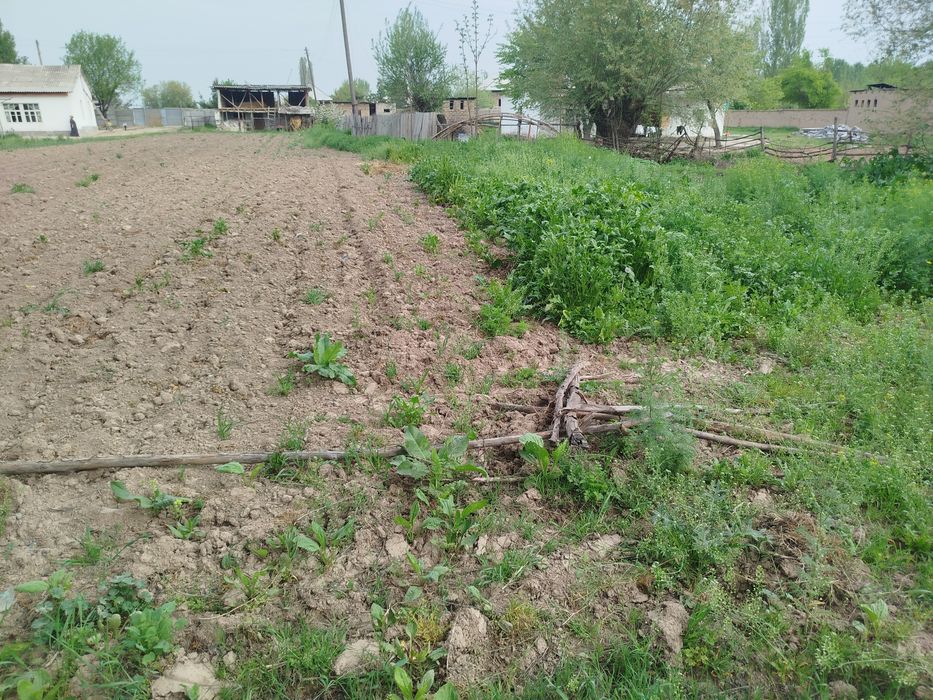 Yer uchastkasi 6 sotixdan  70sotixgacha qib beramiz hujatida muamo yoq