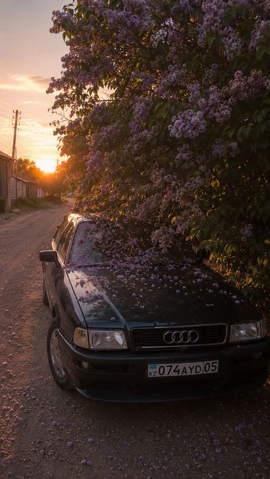 Гарания ауди сексен