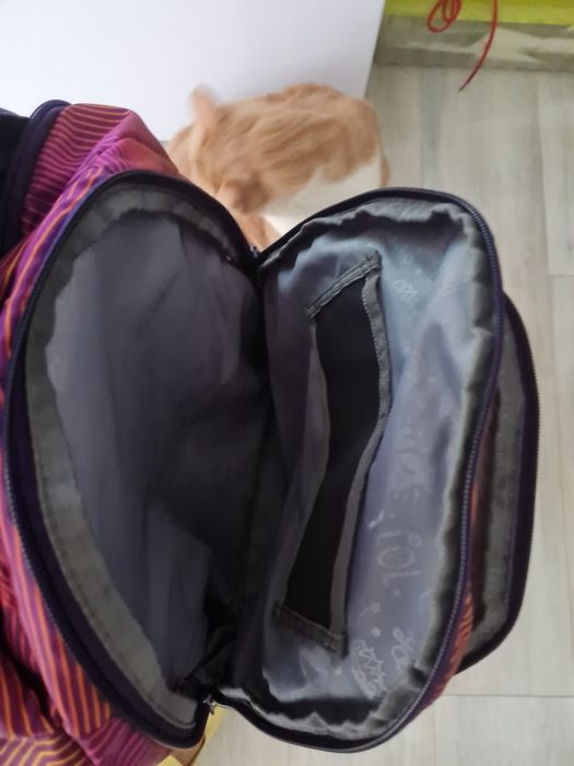 Ghiozdanul școlar Coocazoo ergonomic .Stare impecabila.