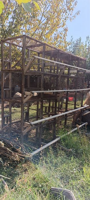 12 par qushga in sotiladi yoki kanareyka ga abmen
