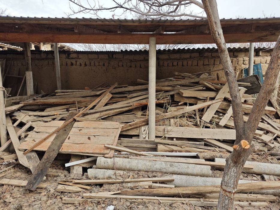 Ағаштар 20000 барлығына