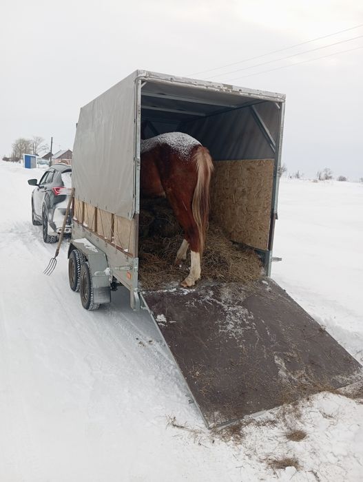 Продам двухосный прицеп
