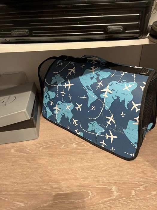 Кот со всеми принадлежностями