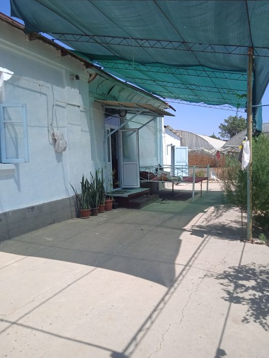 Chinoz tumani olmazor