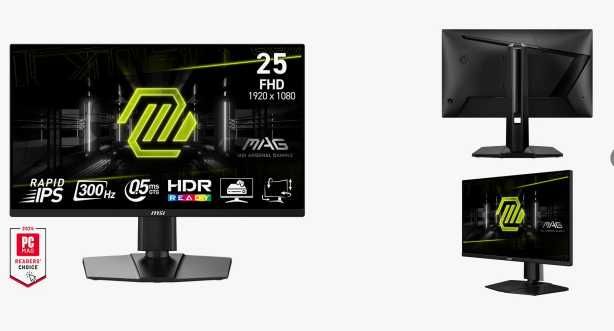 Монитор MSI 25 300HZ
