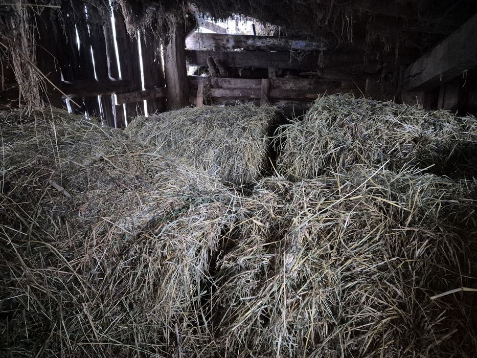 Baloti mari  rotunzi ,coasa a doua,lucerna +fan