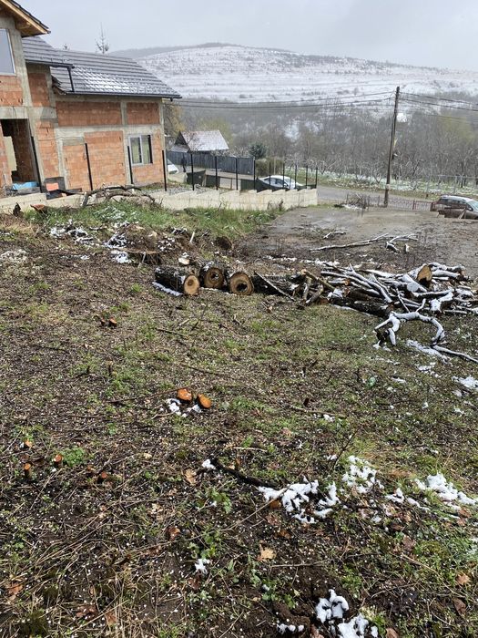 Vand teren intravilan Ciurila cu autorizatie constructie.