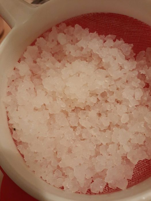 Kefir de apa si lapte ciuperca japoneza tibetana