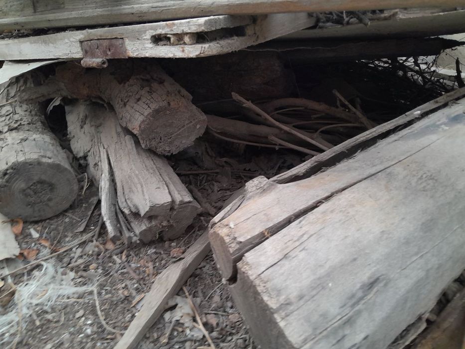 Срочно утин сотилади 2 зил