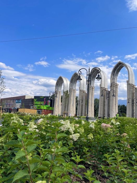 Сдам в аренду парикмахерское кресло