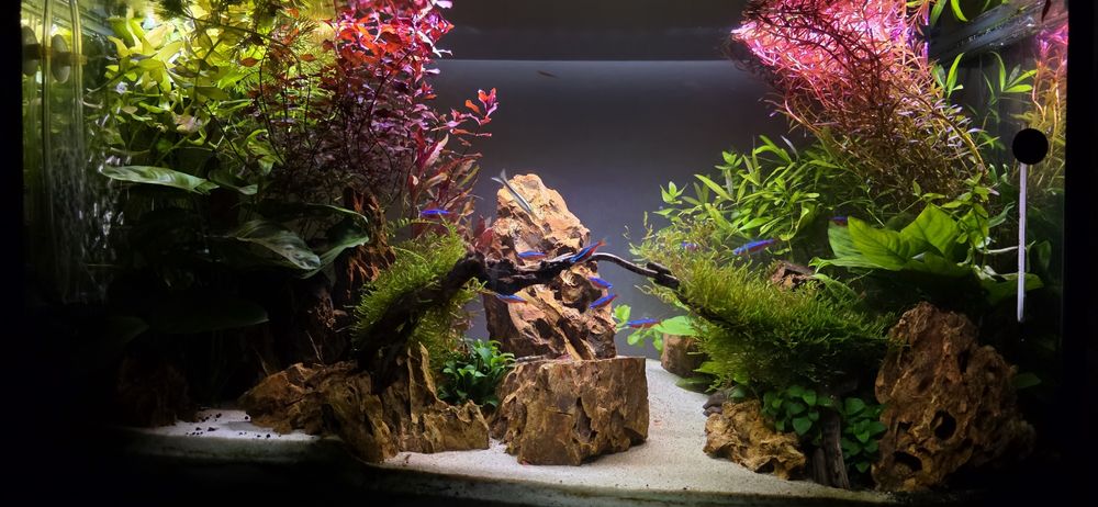 Aквариум AQUAL 83 L